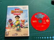 Big Beach Sports Wii