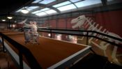Get Rabbids Go Home Wii