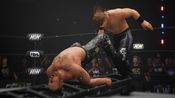 All Elite Wrestling: Fight Forever - Elite Edition PlayStation 4 for sale
