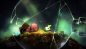Buy Void Terrarium