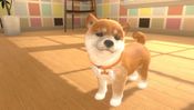 Redeem Little Friends: Dogs & Cats