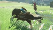The Legend of Zelda: Breath of the Wild (Nintendo Switch) eShop Key UNITED STATES