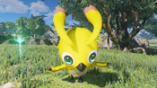 PSO2:NGS - Beginners! Rappy Edition PC/XBOX LIVE Key EUROPE for sale