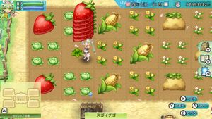 Rune Factory 4 Special