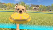Dream Pet VR