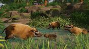 Planet Zoo: Tropical Pack (DLC) (PC) Steam Key GLOBAL for sale