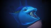 Redeem A Fisherman's Tale