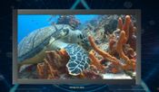 Trials of the Illuminati: Sea Creatures Jigsaws (PC) Steam Key GLOBAL