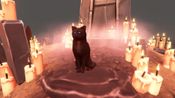 Hidden Paws Mystery