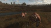 S.T.A.L.K.E.R: Call of Pripyat Steam Key GLOBAL for sale