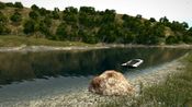 Get Ultimate Fishing Simulator Steam Key GLOBAL