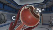 The Physiology of the Eye for sale