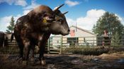 Far Cry 5 Uplay Key EUROPE