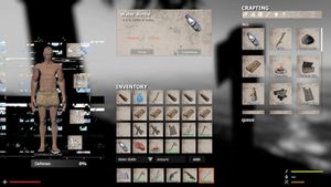 THE LONE ISLAND SURVIVAL
