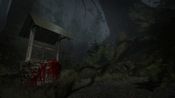 Buy The Ritual on Weylyn Island