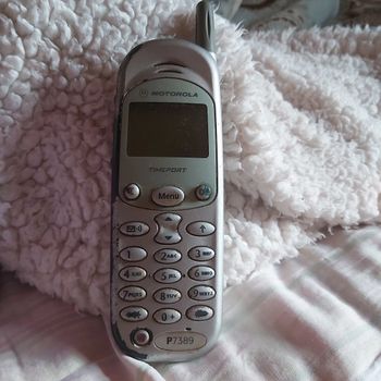 Motorola Timeport P7389