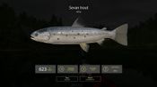 Redeem Russian Fishing 4