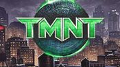 TMNT Game Boy Advance