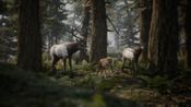 Artemishea (Early Access) (PC) Steam Key GLOBAL for sale