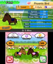 Pocket Card Jockey for sale