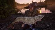 Get The Catch: Carp & Coarse - Jezioro Bestii (DLC) (PC) Steam Key GLOBAL