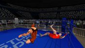 Get Wrestlers Without Boundaries (PC) Steam Key GLOBAL