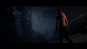 Until Dawn™ Steam Key (PC) ASIA for sale
