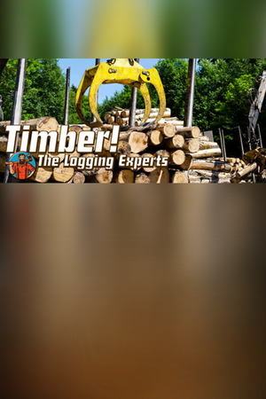 Timber! The Logging Experts Steam Key (PC) GLOBAL