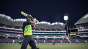 Ashes Cricket
