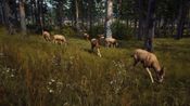 Way of the Hunter PlayStation 5 for sale