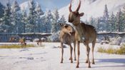Planet Zoo: Eurasia Animal Pack (DLC) (PC) Steam Key TURKEY for sale