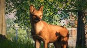 Redeem Planet Zoo: Southeast Asia Animal Pack (DLC) Steam Key EUROPE