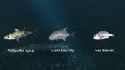 Ultimate Fishing Simulator - New Fish Species (DLC) (PC)  Steam Key GLOBAL for sale