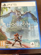 Horizon: Forbidden West PlayStation 5
