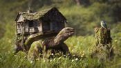 Buy CGWallpapers (PC) Steam Key GLOBAL