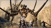Redeem The Elder Scrolls Online Standard Edition (PC) Official Website Key GLOBAL