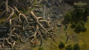 Pathfinder: Kingmaker - Imperial Edition (PC) Steam Key UNITED STATES