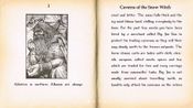 Caverns of the Snow Witch for sale