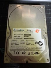 ExcelStor 80GB HDD