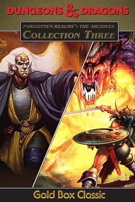 Forgotten Realms: The Archives - Collection Three game cover