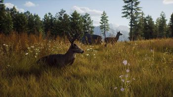 Get Way of the Hunter PlayStation 5