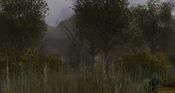 Whitetail Challenge
