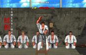 Buy Karate Master 2 Knock Down Blow
