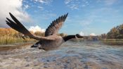Redeem theHunter: Call of the Wild - Wild Goose Chase Gear (DLC) (PC) Steam Key GLOBAL