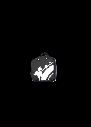 Fortnite - Nite Bag Back Bling (DLC) Epic Games Key GLOBAL