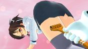 Get Senran Kagura Reflexions
