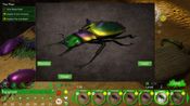 Beetle Uprising