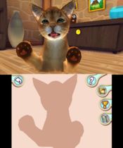 I Love my Cats