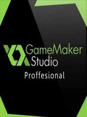 GameMaker: Studio Professional Key GLOBAL