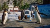 Planet Zoo: Aquatic Pack (DLC) Steam Key GLOBAL for sale